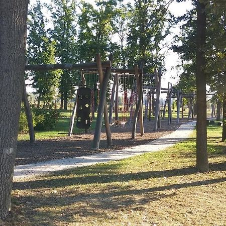 Križevci pri Ljutomeru Apartma Mbm 아파트 외부 사진