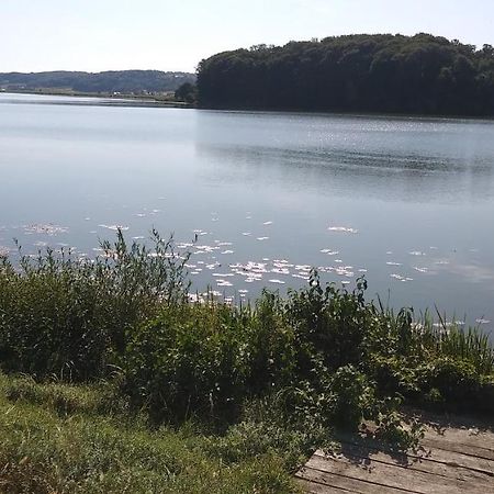 Križevci pri Ljutomeru Apartma Mbm 아파트 외부 사진