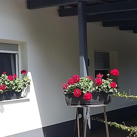 Križevci pri Ljutomeru Apartma Mbm 아파트 외부 사진