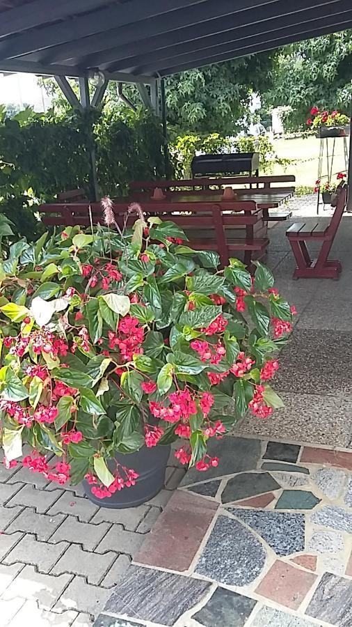 Križevci pri Ljutomeru Apartma Mbm 아파트 외부 사진